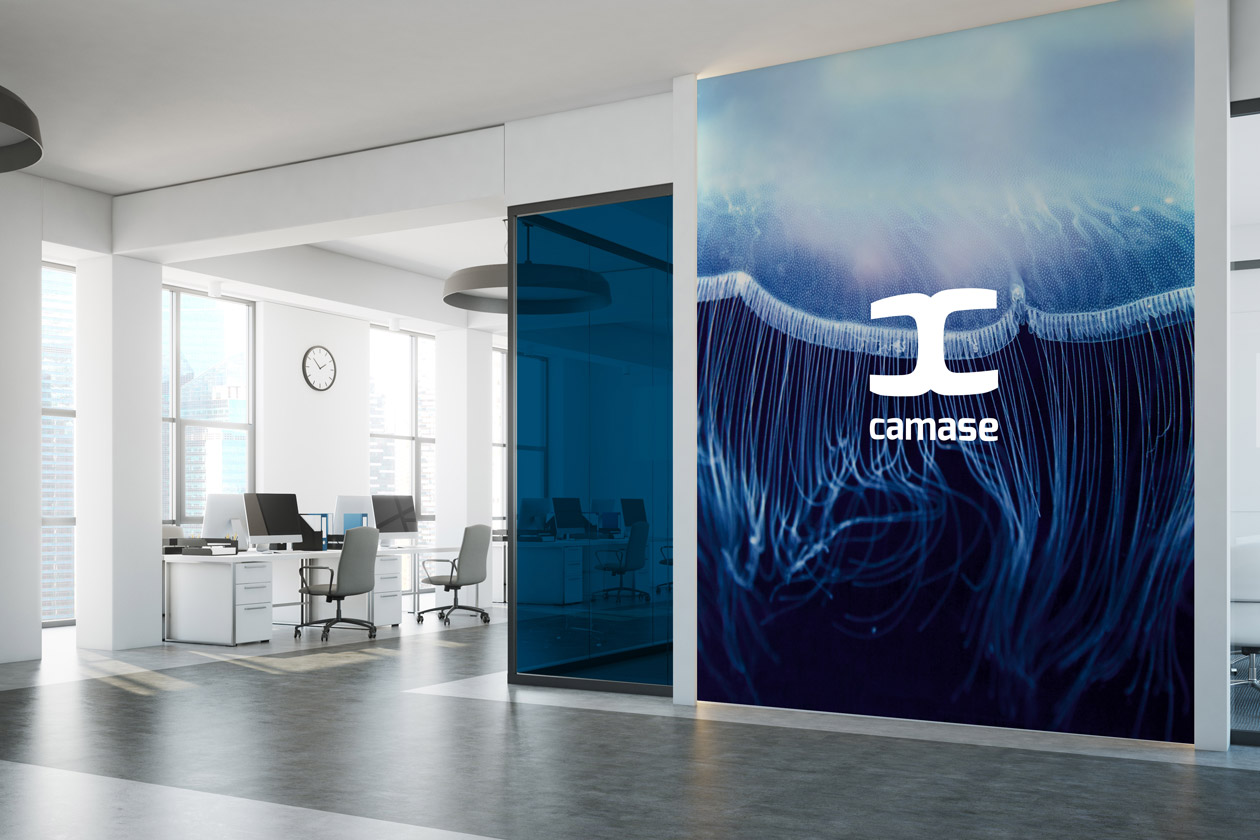 logo branding camase 06