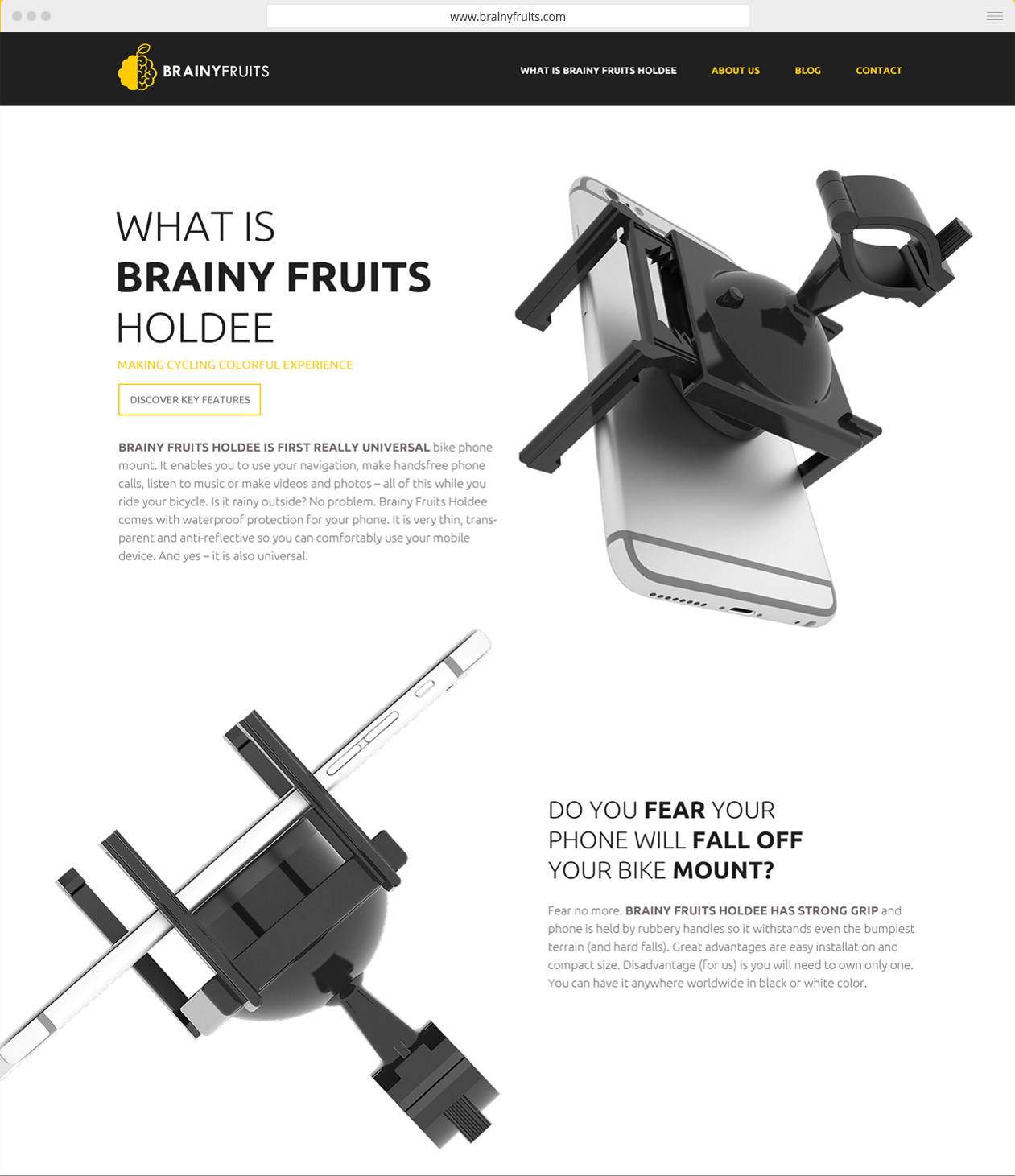 webdesign Brainy Fruits